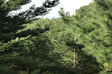 Photo of property in 487 Whangamata Road, Kinloch, Taupo, 3377