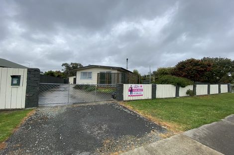 Photo of property in 20 Clyde Street, Renwick, 7204