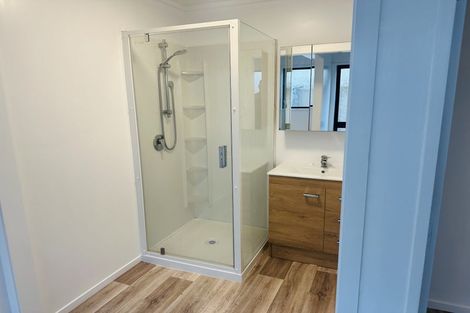 Photo of property in 40b Willoughby Street, Whitiora, Hamilton, 3200