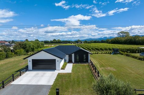 Photo of property in 5 Brook Street, Renwick, 7204