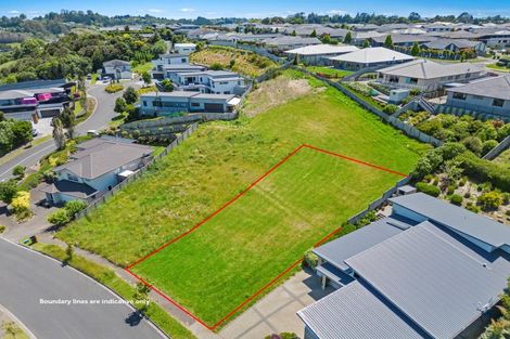 Photo of property in 39 Caldera Crescent, Pyes Pa, Tauranga, 3112