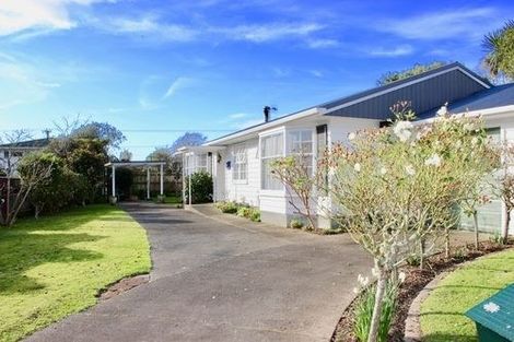 Photo of property in 3 Halsey Street, Levin, 5510