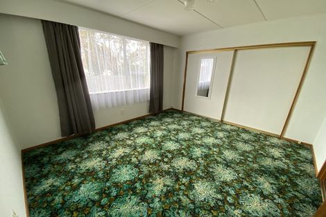 Photo of property in 31 David Street, Caversham, Dunedin, 9012