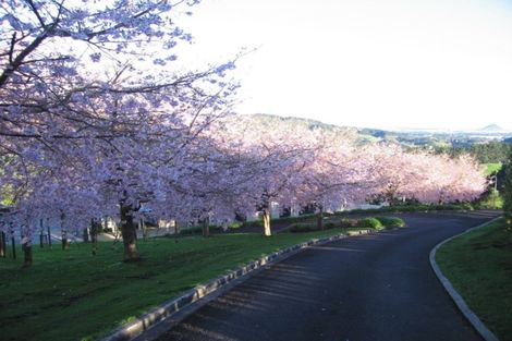 Photo of property in 157b Kaiate Falls Road, Waitao, Tauranga, 3175