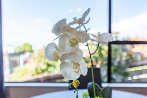 Photo of property in 23 Hurley Road, Paraparaumu Beach, Paraparaumu, 5032