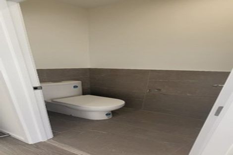 Photo of property in 17b East Street, Pukekohe, 2120