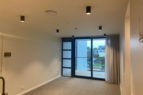 Photo of property in 514/8 Kingsland Terrace, Kingsland, Auckland, 1021