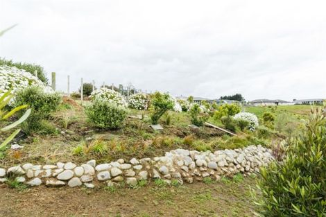 Photo of property in 51b Wapiti Avenue, Feilding, 4775