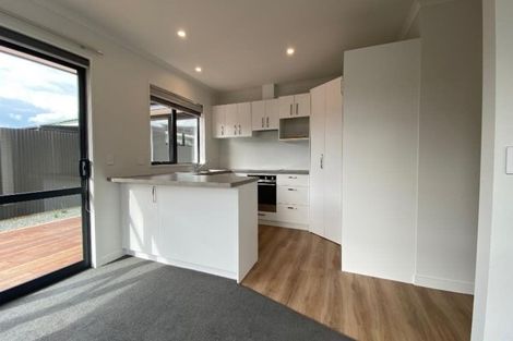 Photo of property in 10c Chisnall Street, Richmond, 7020