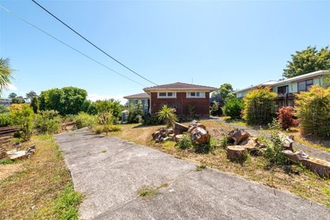 Photo of property in 17 Chilcott Road, Henderson, Auckland, 0612
