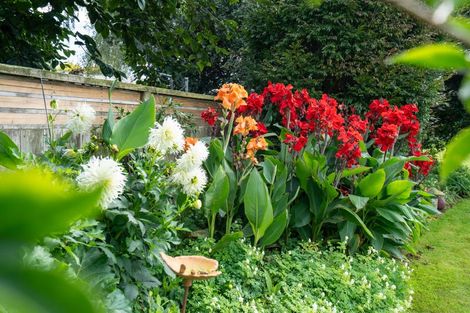 Photo of property in 20 Cowley Drive, Leamington, Cambridge, 3432