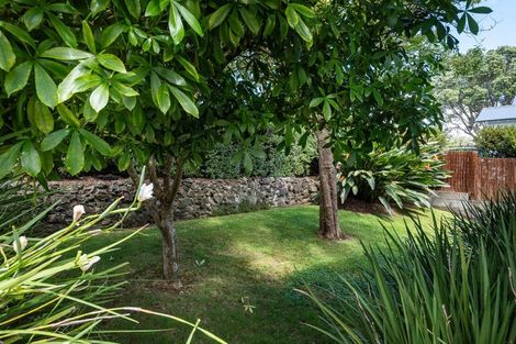 Photo of property in 25 Mewburn Avenue, Mount Eden, Auckland, 1024