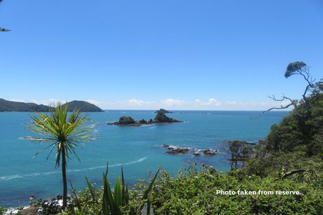 Photo of property in 113 Rapata Road, Oakura, Hikurangi, 0184