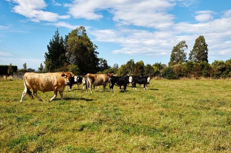 Photo of property in 103 Harnetts Road, Kaikoura Flat, Kaikoura, 7371