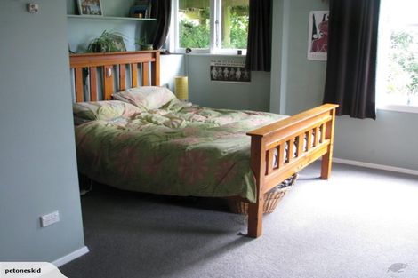 Photo of property in 159b Owen Street, Newtown, Wellington, 6021