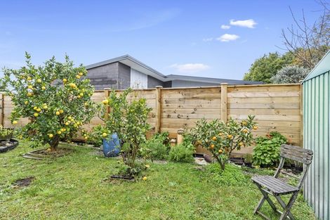 Photo of property in 446 Thames Street, Morrinsville, 3300