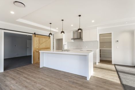 Photo of property in 41 Grandvista Drive, Green Island, Dunedin, 9018