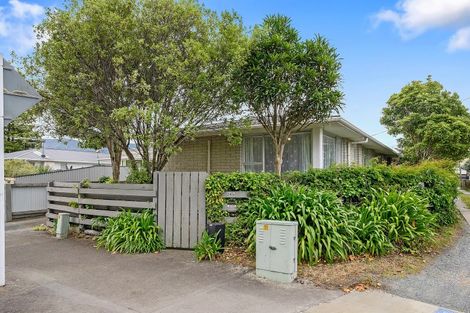 Photo of property in 24a Riverbank Street, Ebdentown, Upper Hutt, 5018
