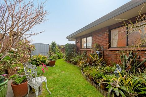 Photo of property in 3/24 Fourth Avenue, Tauranga, 3110