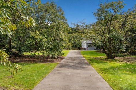 Photo of property in 32 Julian Road, Onemana, Whangamata, 3691