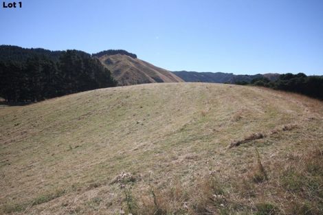 Photo of property in 156 Akatarawa Road, Reikorangi, Waikanae, 5391