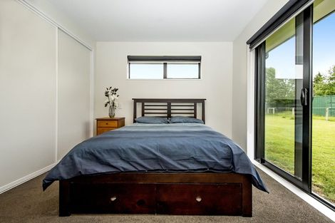 Photo of property in 24 Regent Street, Springfield, 7681