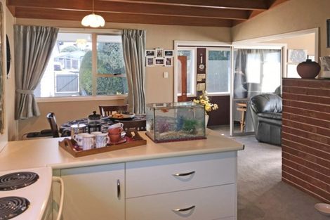 Photo of property in 19 Lewin Street, Balclutha, 9230