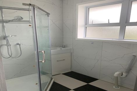 Photo of property in 60 Webster Avenue, Mount Roskill, Auckland, 1041