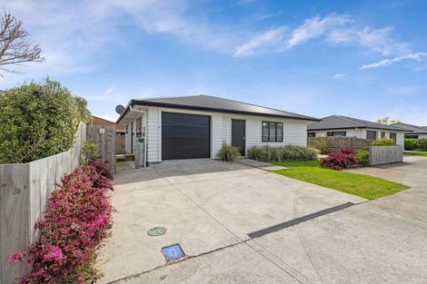 Photo of property in 112c Monrad Street, Highbury, Palmerston North, 4412