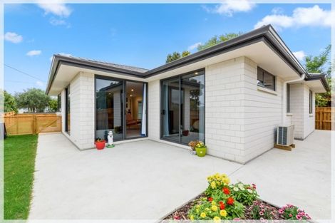 Photo of property in 41a Queenwood Road, Levin, 5510