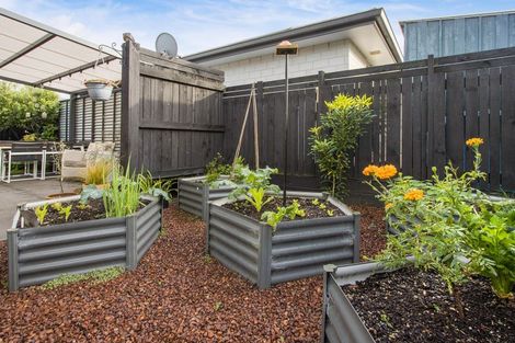 Photo of property in 10 Long Acre Close, Katikati, 3129