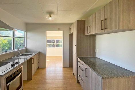 Photo of property in 105 Finlayson Avenue, Clendon Park, Auckland, 2103