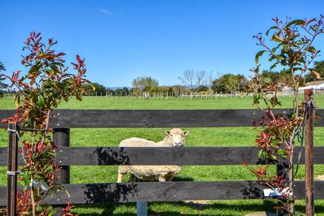 Photo of property in 546 Belvedere Road, Carrington, Carterton, 5791