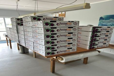 Photo of property in 241 Rea Road, Tahawai, Katikati, 3178