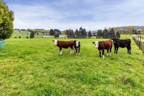 Photo of property in 879 Tukairangi Road, Acacia Bay, Taupo, 3385