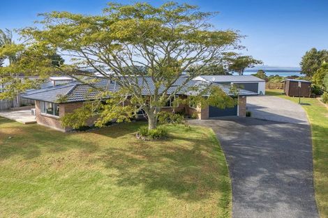 Photo of property in 47 Shelly Beach Road, Shelly Beach, Helensville, 0874