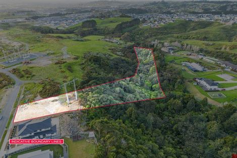Photo of property in 25 Annmarie Avenue, Totara Park, Auckland, 2019