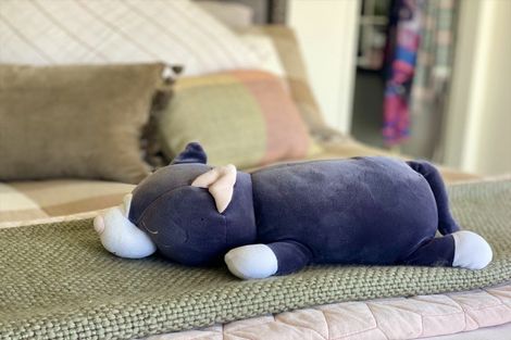 Photo of property in 80 Tio Tio Road, Seatoun, Wellington, 6022