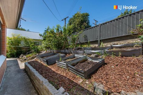 Photo of property in 8 Hawthorn Avenue, Mornington, Dunedin, 9011