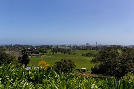 Photo of property in 171 Sealy Road, Omata, New Plymouth, 4374