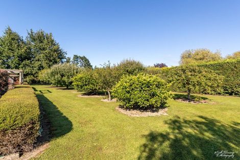 Photo of property in 231 Belvedere Road, Carterton, 5713