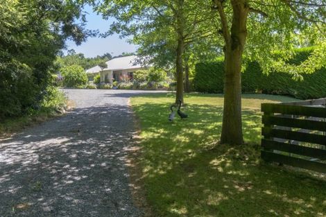 Photo of property in 44 Somerset Drive, Oxford, 7495