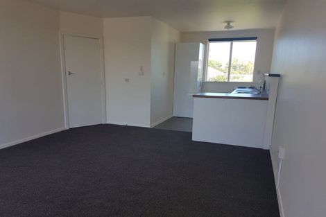 Photo of property in 55 Olliviers Road, Phillipstown, Christchurch, 8011