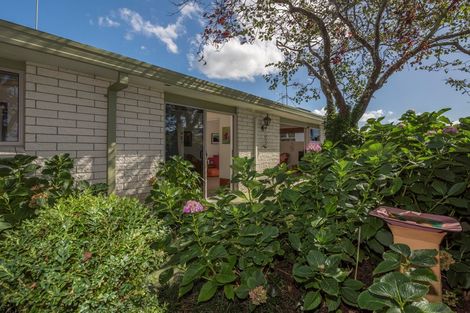 Photo of property in 1/36 Third Avenue, Tauranga, 3110