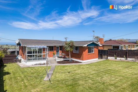 Photo of property in 67 Spencer Street, Andersons Bay, Dunedin, 9013