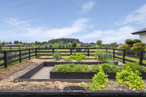 Photo of property in 1810 Broadlands Road, Broadlands, Reporoa, 3081