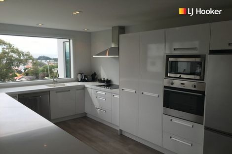 Photo of property in 20b Motu Street, Saint Clair, Dunedin, 9012