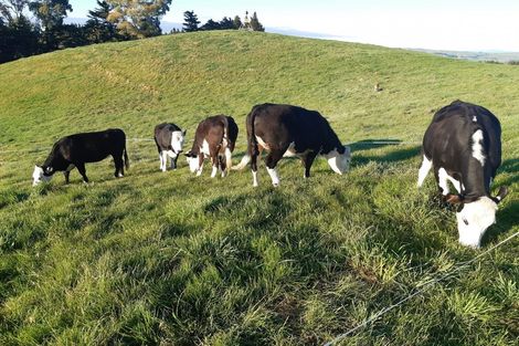 Photo of property in 513 Whakapirau Road, Maraekakaho, Hastings, 4174