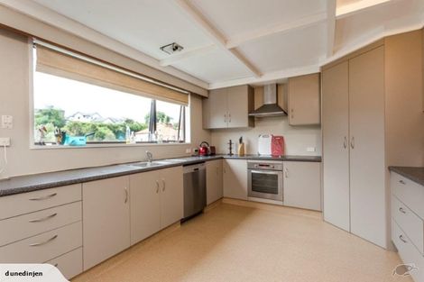 Photo of property in 36 Littlebourne Road, Roslyn, Dunedin, 9010