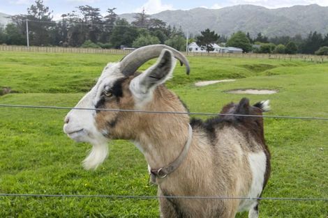 Photo of property in 104 Upper Fitzherbert Road, Wainuiomata, 5373